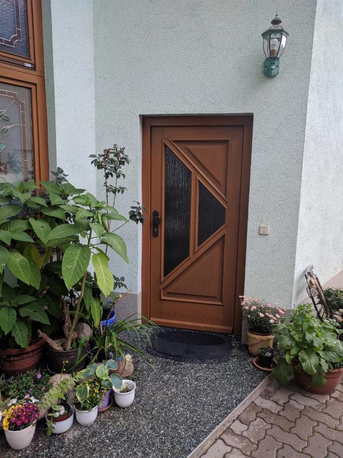 Ferienhaus Johanna & Ferienwohnung Thum Weischlitz Экстерьер фото
